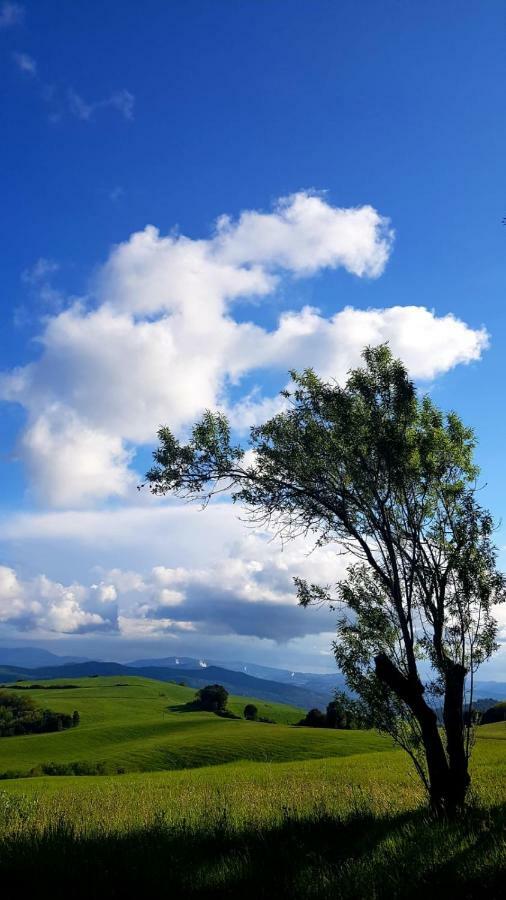 Borgo Fontaccia Bed & Breakfast San Gimignano Ngoại thất bức ảnh